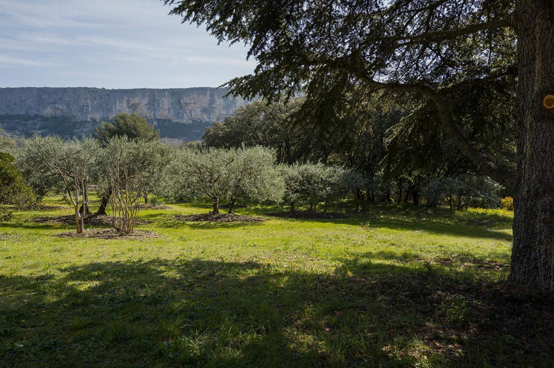 Les Cistes Villa Lioux Exteriör bild