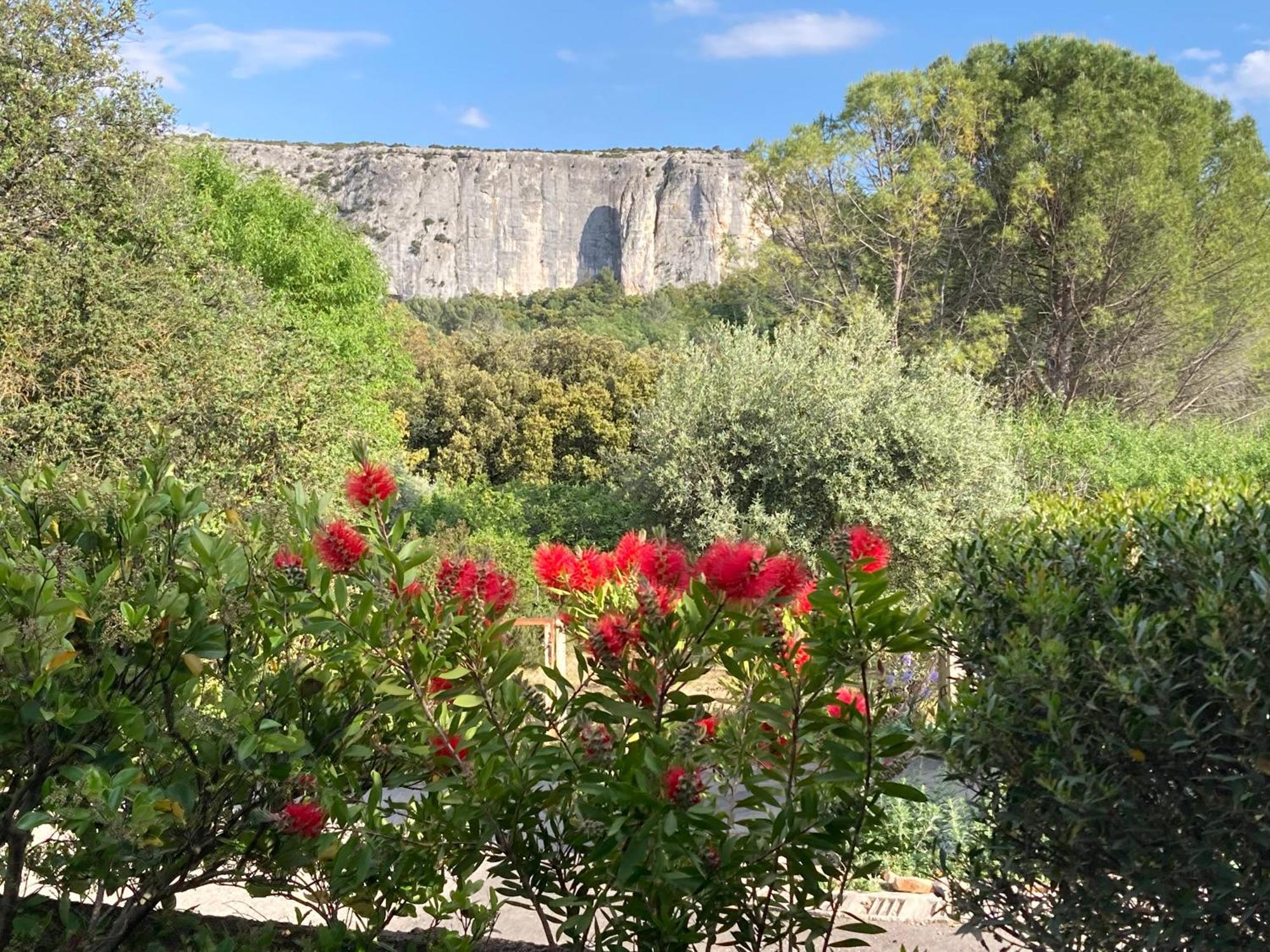 Les Cistes Villa Lioux Exteriör bild